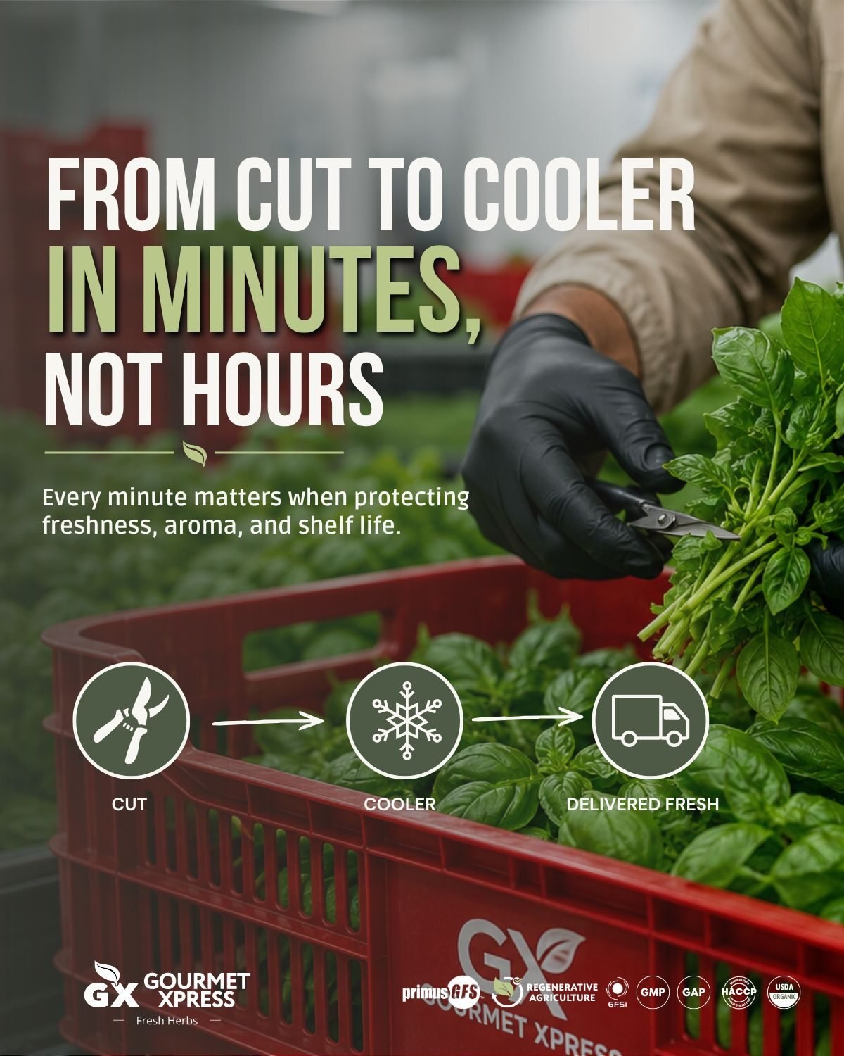 From cut to cooler in minutes