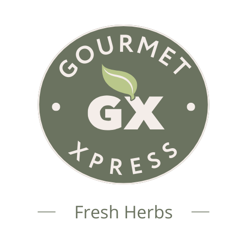 New logo gourmet xpress