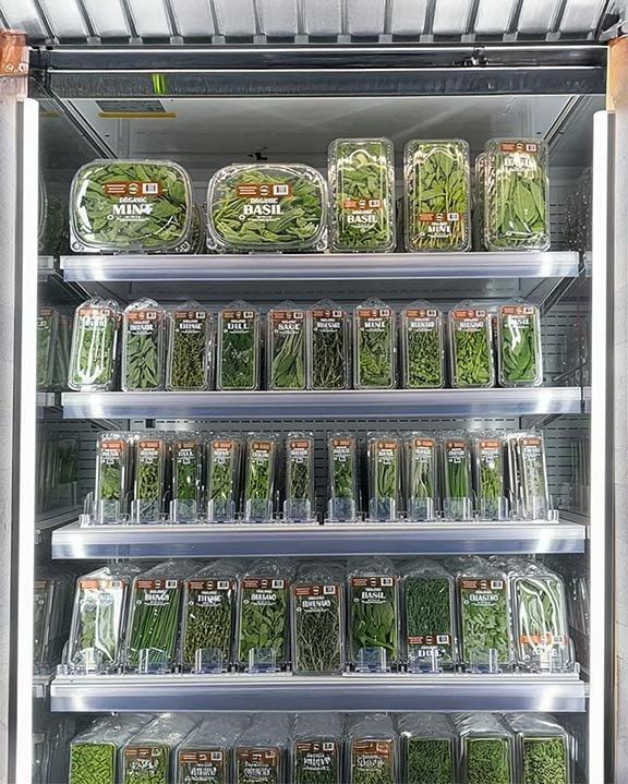 retail clamshells gourmet xpress