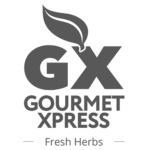 GX logo black slider