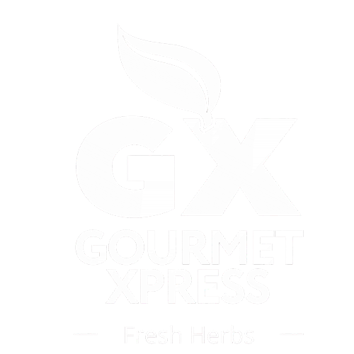 white logo for contact form