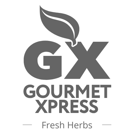 GX logo black slider